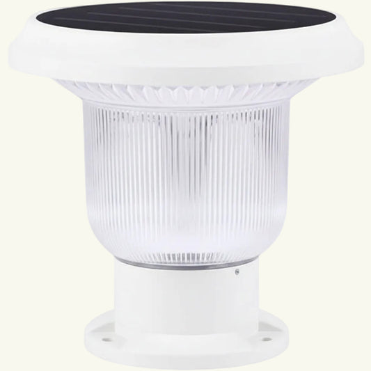 Borne noire petit modèle Champignon